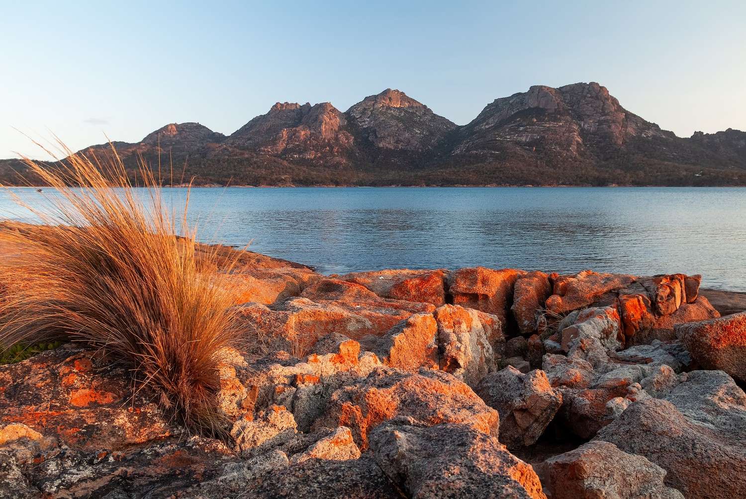 Corporate Training in Tasmania